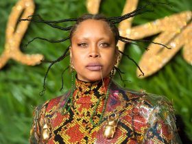 Erykah Badu Biography Height Weight Age Movies Husband Family Salary Net Worth Facts More