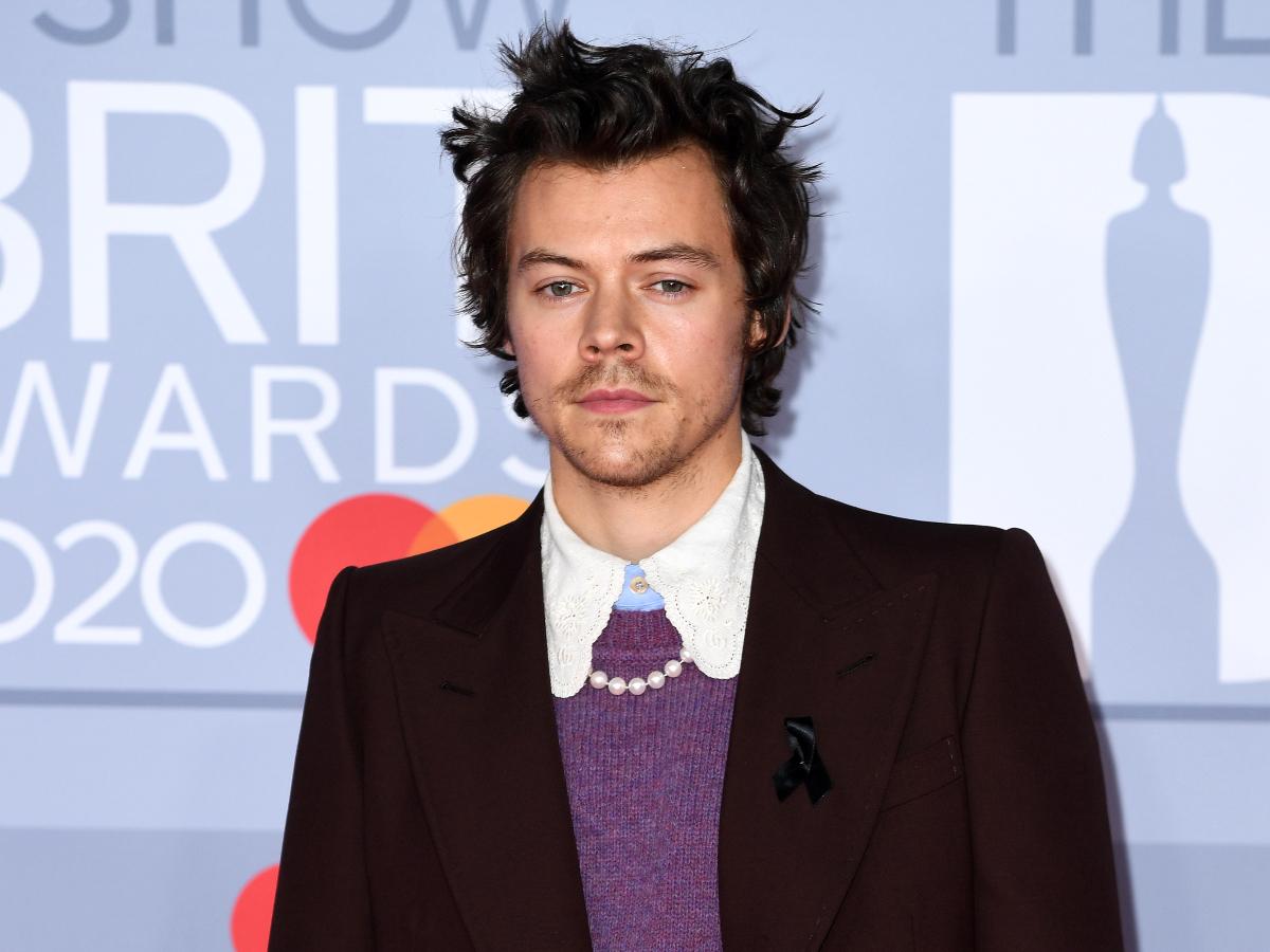 Harry Styles Biography Height Weight Age Movies Wife Family Salary Net Worth Facts More.