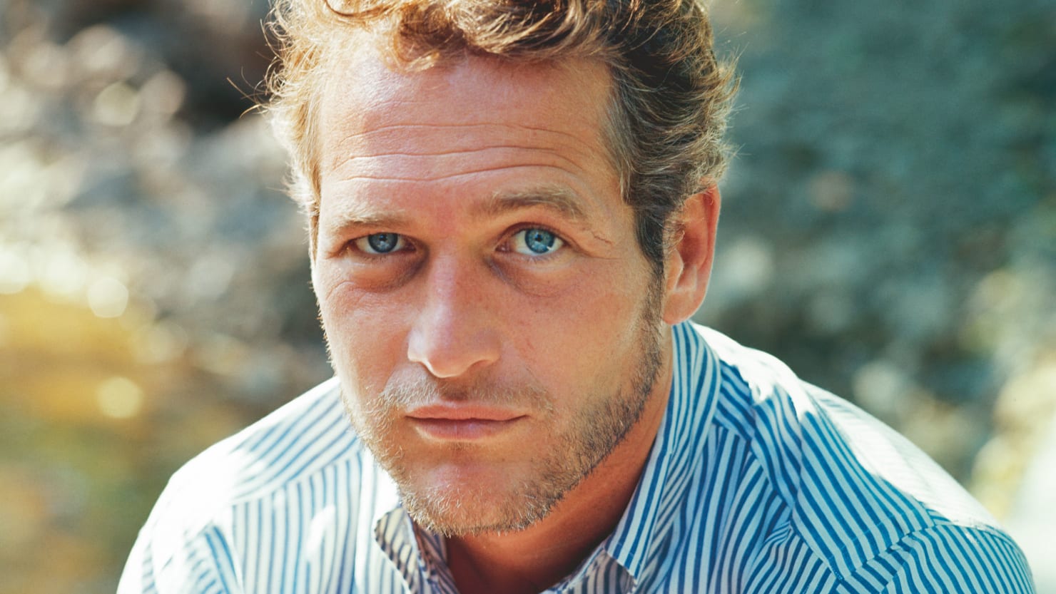 Paul Newman Biography Height Weight Age Movies Wife Family Salary Net Worth Facts More