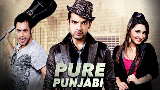 Pure Punjabi(2012)