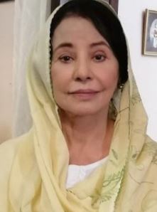 Sajida Syed as Zareena