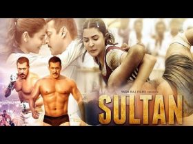 Sultan 2016 Full Movie Analysis