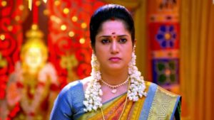 Thamizhum Saraswathiyum Serial Cast, Real Names, Age, Salary, Net Worth
