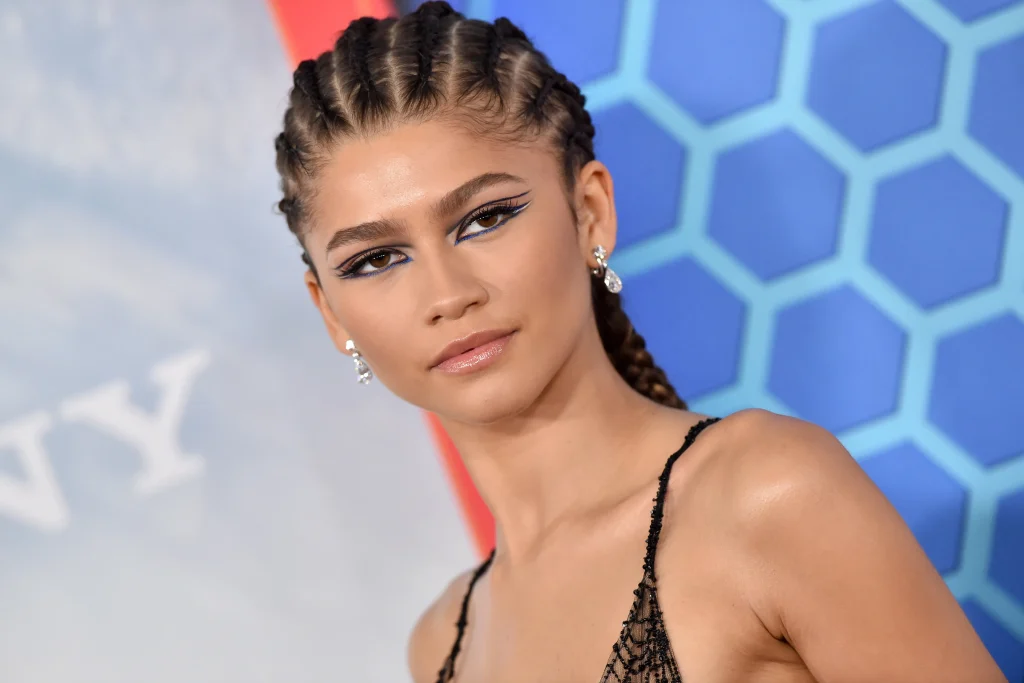 Zendaya Biography, Height, Weight, Age, Movies, Husband, Family, Salary, Net Worth, Facts & More